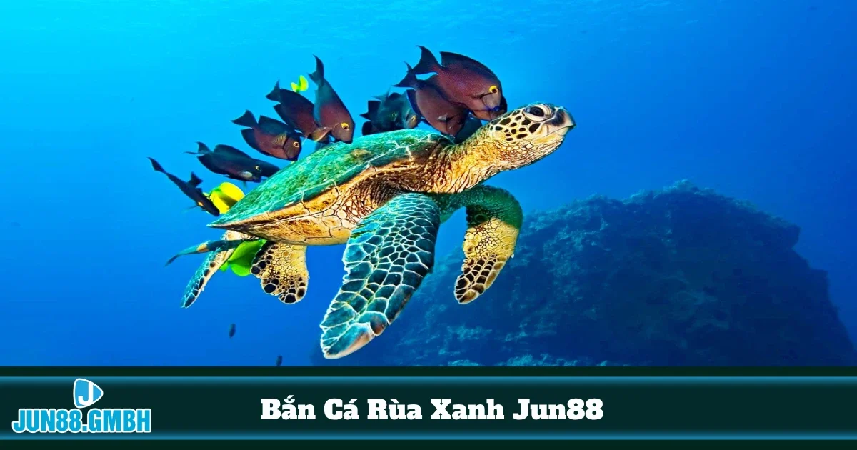 Game Bắn Cá Rùa Xanh Jun88 – Chiến Thuật Thắng Dễ Dàng 4 Khi nào rùa xanh xuất hiện trong game?